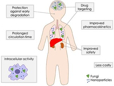 Antifungal Therapy for <mark class="highlighted">Systemic Mycosis</mark> and the Nanobiotechnology Era: Improving Efficacy, Biodistribution and Toxicity